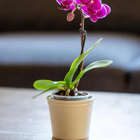 Beautiful With Stunning View - Mutthorn شقة *